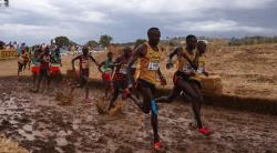 Final Entry Lists for the World Athletics Cross Country Championships Announced