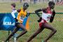 NCAA Cross Country Regular Season Starts With Wisconsin, Washington Leading DI NCAA Cross Country Regular Season Starts With Wisconsin, Washington Leading DI