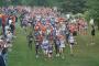 NCAA DI Regional Cross Country Rankings Week #3 NCAA DI Regional Cross Country Rankings Week #3