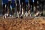More Kenyan Runners Banned For Doping More Kenyan Runners Banned For Doping