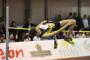 Italy's Trost and Fassinotti Win Hustopece High Jump Meet Italy's Trost and Fassinotti Win Hustopece High Jump Meet