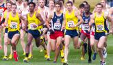 Northern Arizona University Men Win NCAA XC Crown; Canadian Justin Knight wins Individual Title