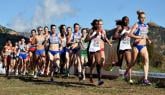 Live: European Cross Country Championships 2017
