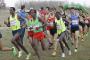 Top road and cross country action this weekend