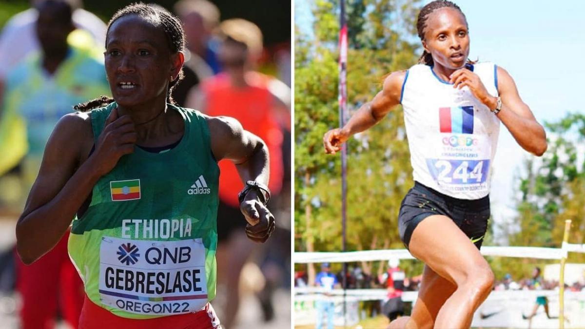 New York City Marathon 2022 Women's Elite Preview Watch Athletics