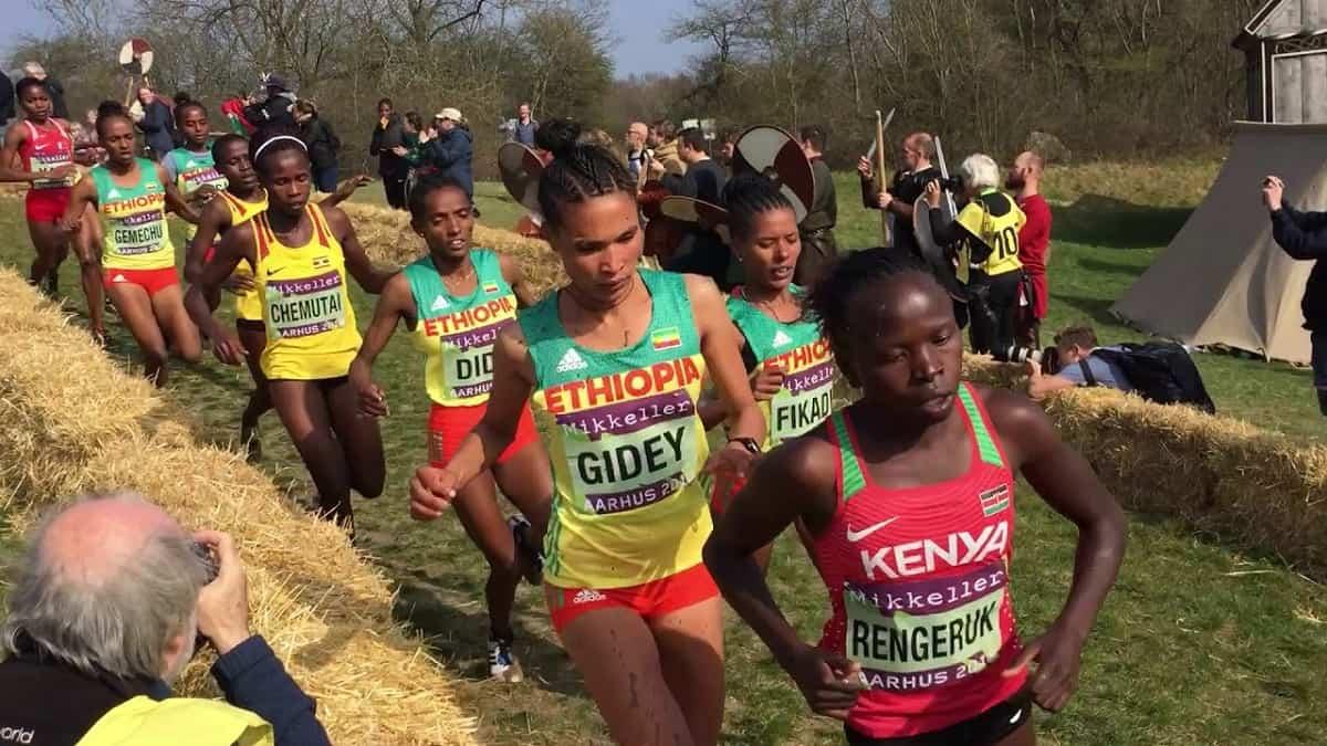 World Cross Country Championships 2023 Results Watch Athletics