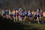Preview for the European Cross Country Championships