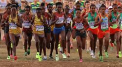 Women's Preview:  World Athletics Cross Country Championships Belgrade 2024