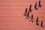 The Scale Before Race Day: Why Runners Should Not Panic About Taper-Week Weight
