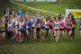 Results: Iris Lotto CrossCup Brussels IAAF Permit Cross Country 2014