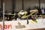 Italy's Trost and Fassinotti Win Hustopece High Jump Meet 