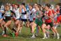 Entries: European Cross Country Championships